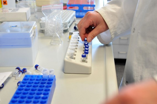 Probenständer auf Labortisch