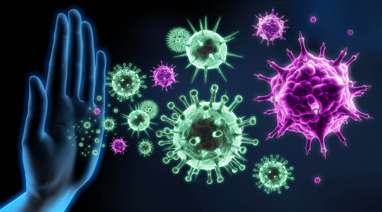 Viruses Graphic showing violet and turquoise viruses and a hand that holds the viruses back.